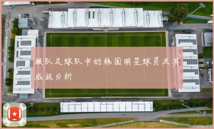 狼队足球队中的韩国明星球员及其成就分析