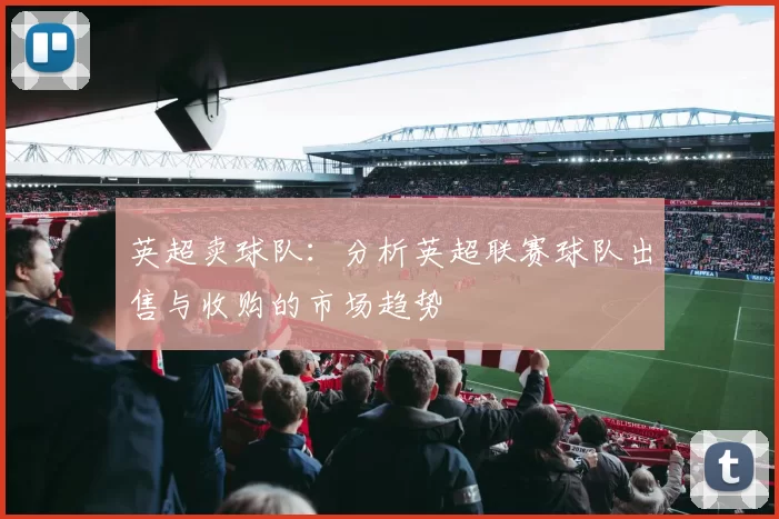 英超卖球队：分析英超联赛球队出售与收购的市场趋势