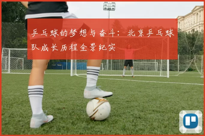 乒乓球的梦想与奋斗：北京乒乓球队成长历程全景纪实