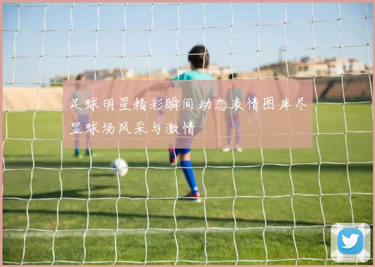 足球明星精彩瞬间动态表情图库尽显球场风采与激情
