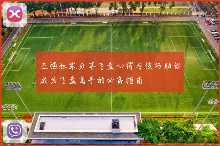 王强独家分享飞盘心得与技巧助你成为飞盘高手的必备指南