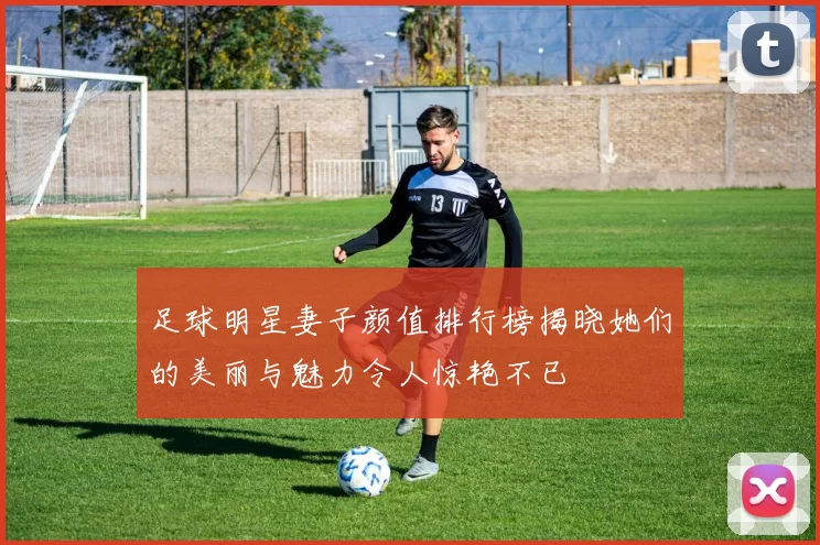 足球明星妻子颜值排行榜揭晓她们的美丽与魅力令人惊艳不已
