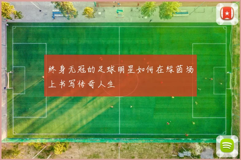 终身无冠的足球明星如何在绿茵场上书写传奇人生