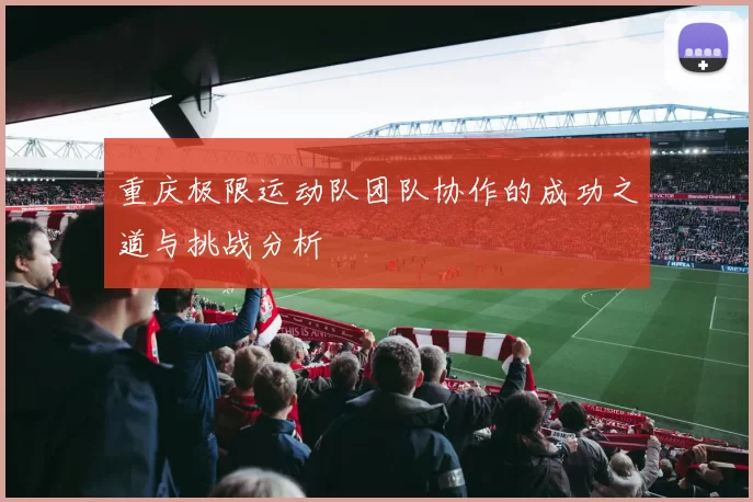 重庆极限运动队团队协作的成功之道与挑战分析