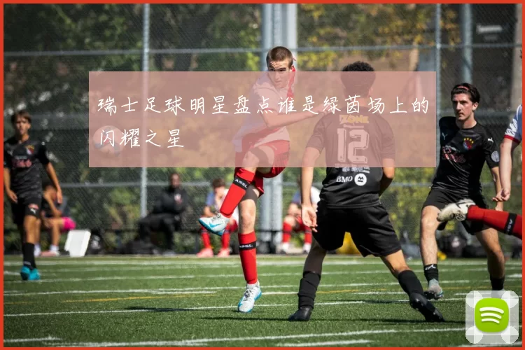 瑞士足球明星盘点谁是绿茵场上的闪耀之星