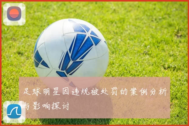 足球明星因违规被处罚的案例分析与影响探讨