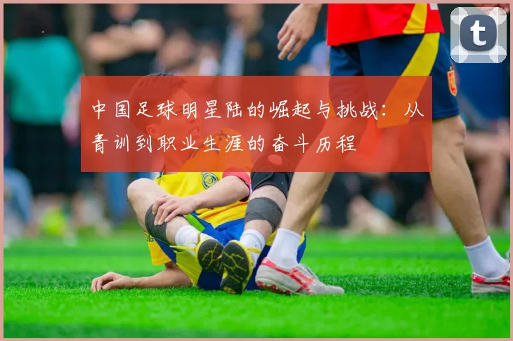 中国足球明星陆的崛起与挑战：从青训到职业生涯的奋斗历程