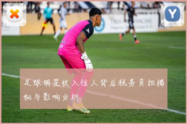 足球明星收入惊人背后税务负担揭秘与影响分析